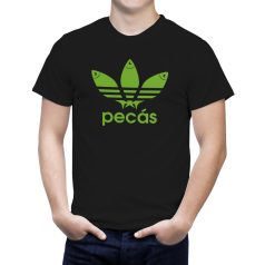 Pecás
