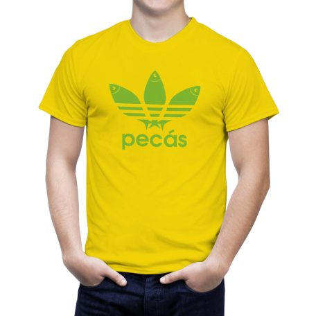 Pecás