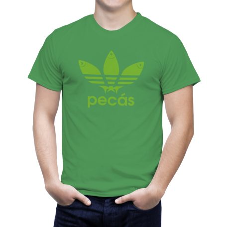 Pecás